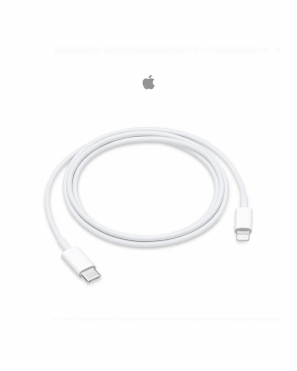 Câble Apple USB-C vers Lightning (1 m)